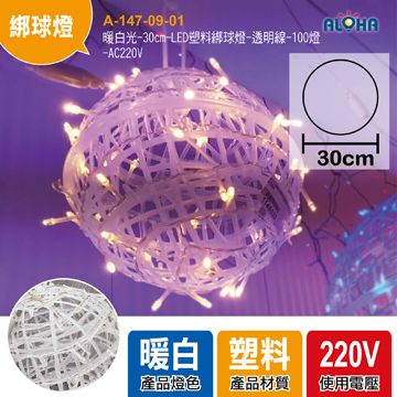 暖白光-30cm-LED塑料綁球燈-透明線-100燈-AC220V